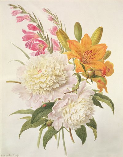 Takken van Gladiolen, Pioenen en Lilium Bulbiferum door Henriette Gertruide Knip